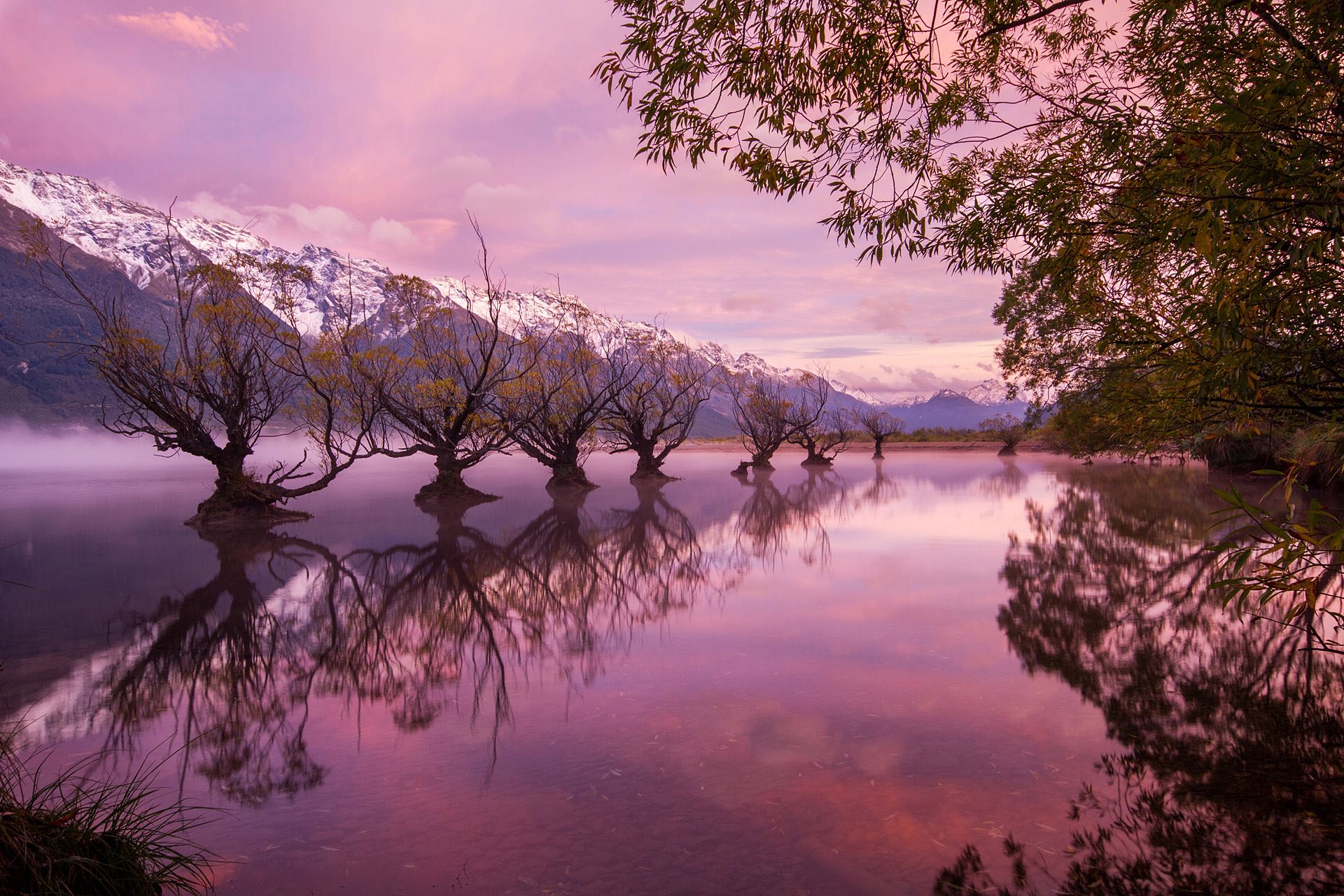 Glenorchy Willows Sunrise