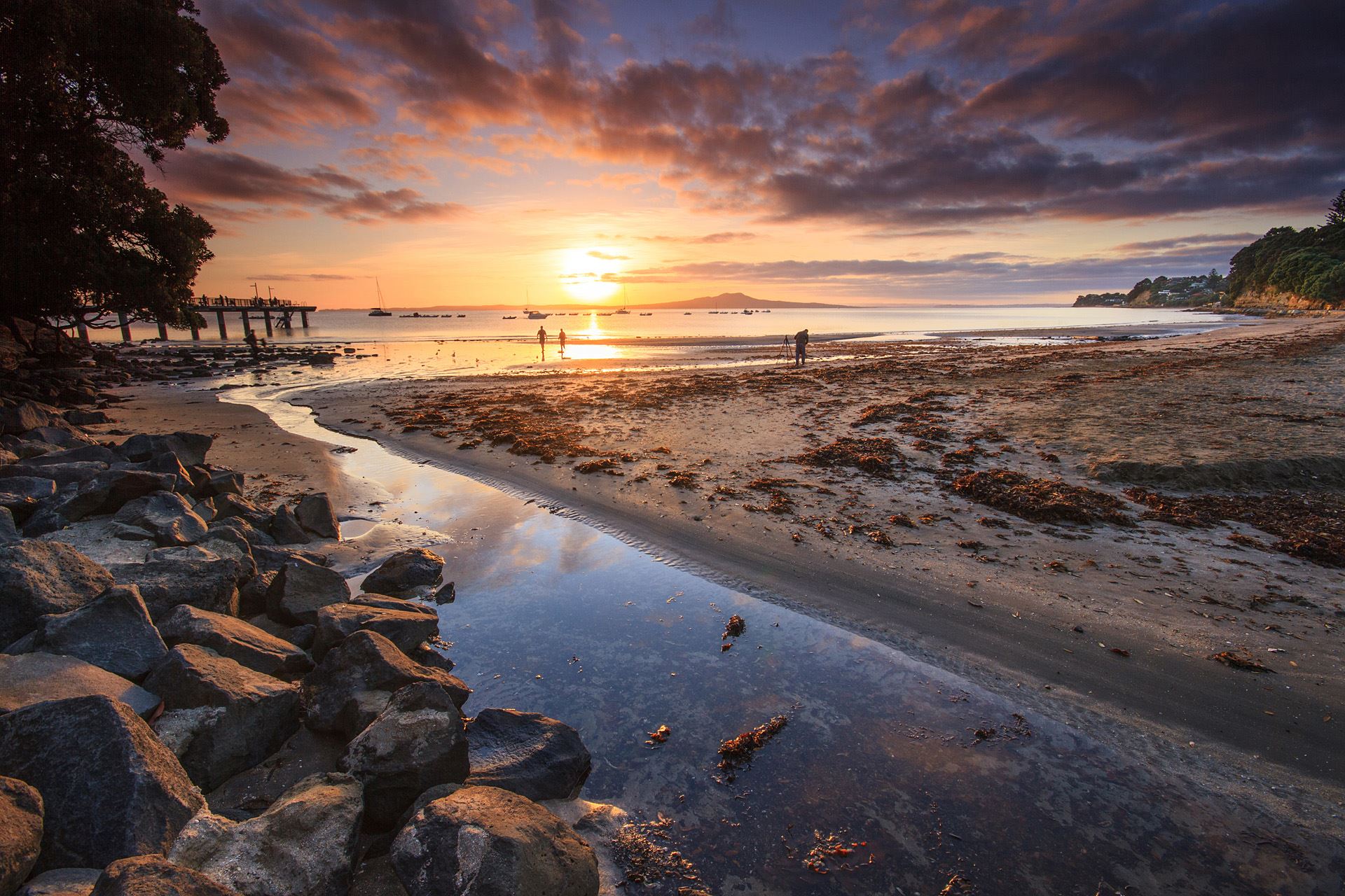 Murrays Bay Morning