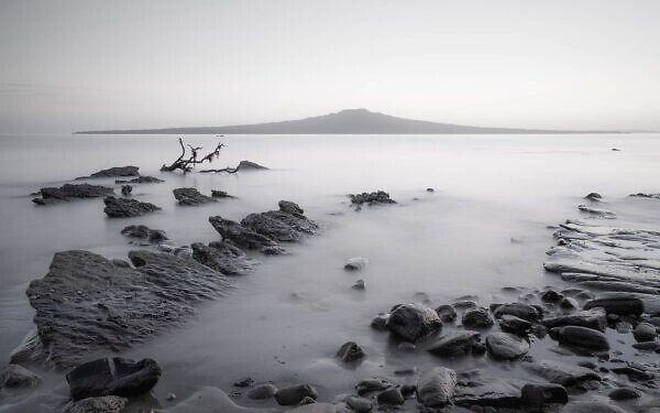Rangitoto from Winscombe Reserve