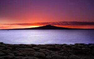 Rangitoto Dreams 2