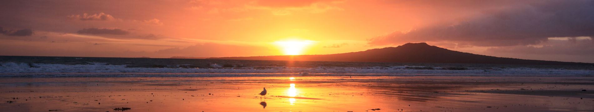 Westhaven Marina Sunrise