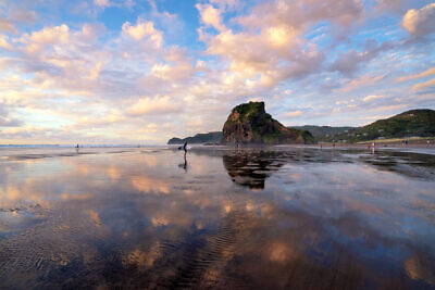Piha Dreamy Reflections