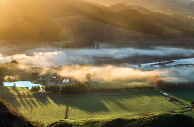 Havelock North Mist