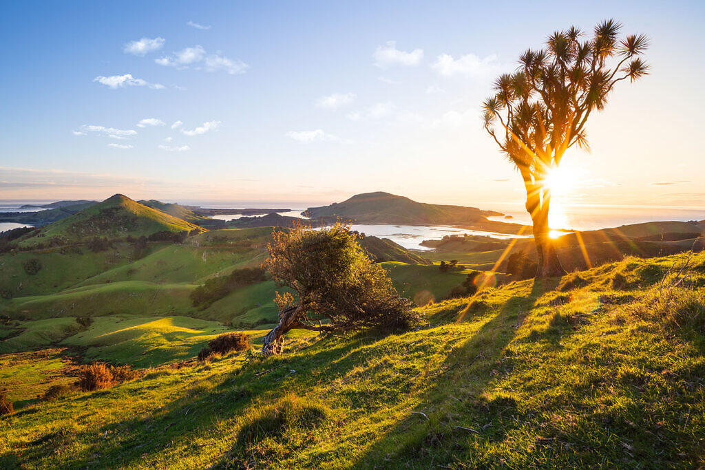 Otago Peninsula Sunrise from Peggy's Hill