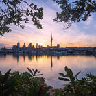 Westhaven Marina sunrise