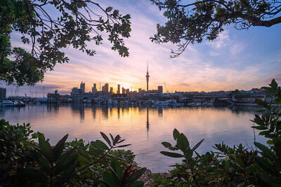Westhaven Marina sunrise